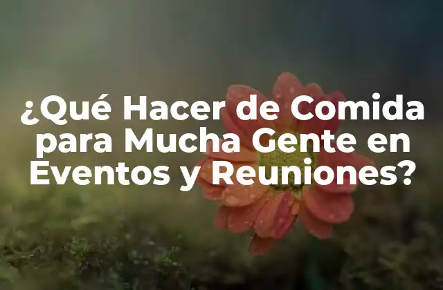 ¿qué Hacer de Comida para Mucha Gente en Eventos y Reuniones?