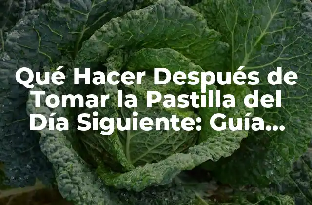 Qué Hacer Después de Tomar la Pastilla Del Día Siguiente: Guía Completa