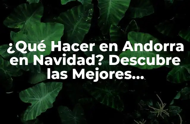 ¿qué Hacer en Andorra en Navidad? Descubre las Mejores Actividades y Atracciones