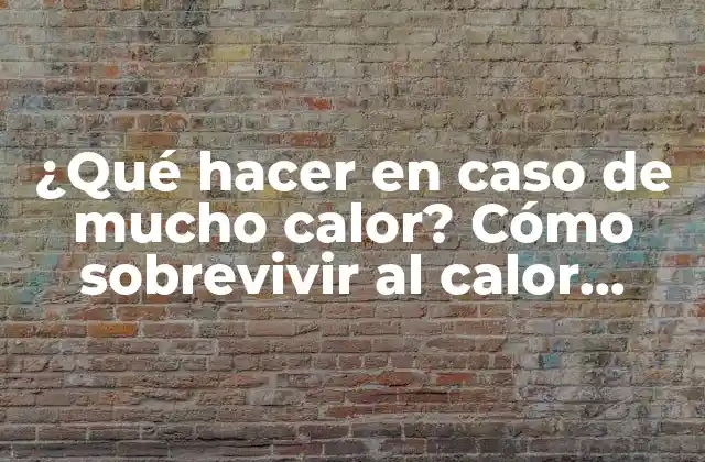 ¿qué Hacer en Caso de Mucho Calor? Cómo Sobrevivir Al Calor Extremo