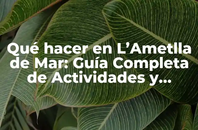 Qué Hacer en L’ametlla de Mar: Guía Completa de Actividades y Atracciones
