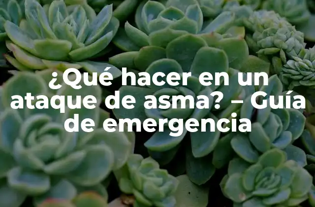 ¿qué Hacer en un Ataque de Asma? - Guía de Emergencia 2 ¿Qué son los ataques de asma y cómo se producen?