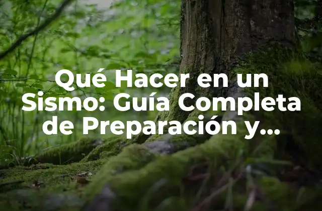 Qué Hacer en un Sismo: Guía Completa de Preparación y Respuesta