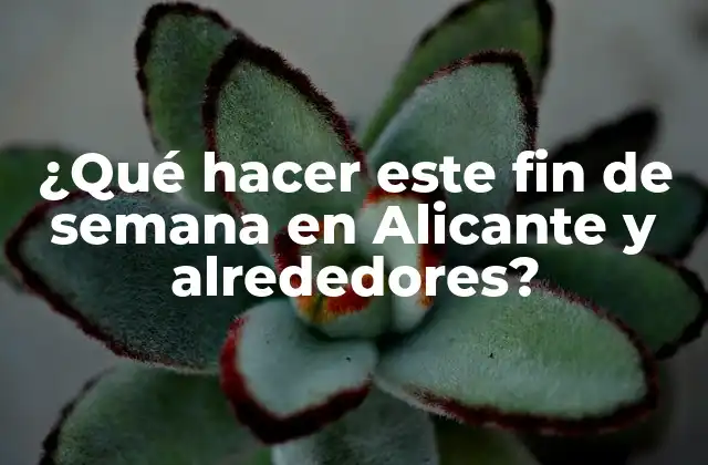 ¿qué Hacer Este Fin de Semana en Alicante y Alrededores?