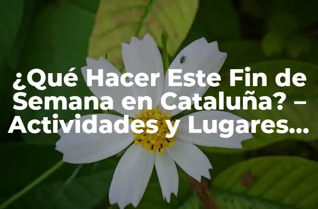 ¿qué Hacer Este Fin de Semana en Cataluña? – Actividades y Lugares Turísticos