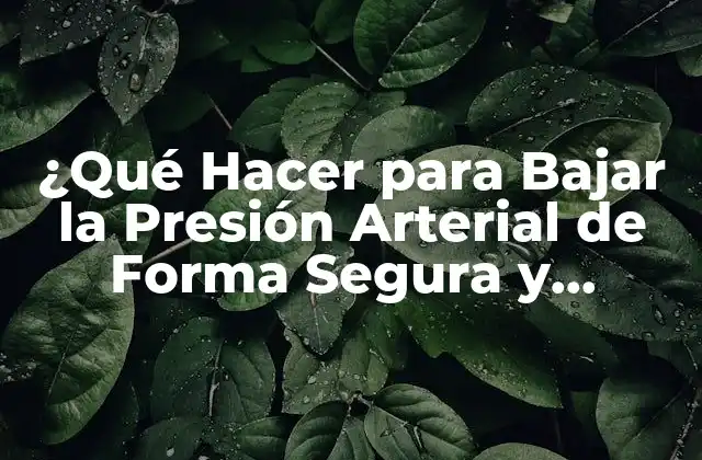 ¿qué Hacer para Bajar la Presión Arterial de Forma Segura y Efectiva?