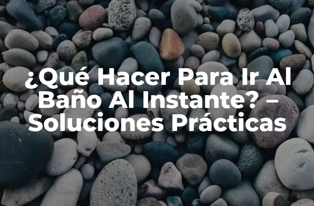 ¿qué Hacer para Ir Al Baño Al Instante? – Soluciones Prácticas