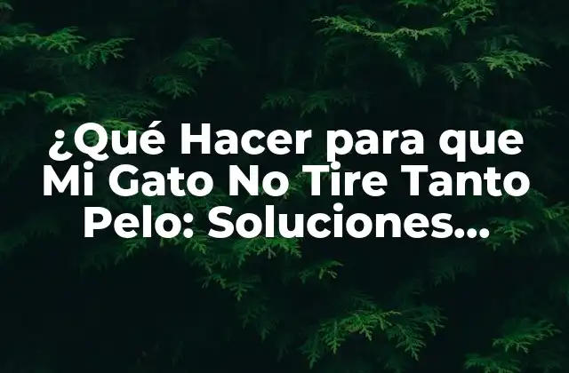 ¿qué Hacer para que Mi Gato No Tire Tanto Pelo: Soluciones Efectivas