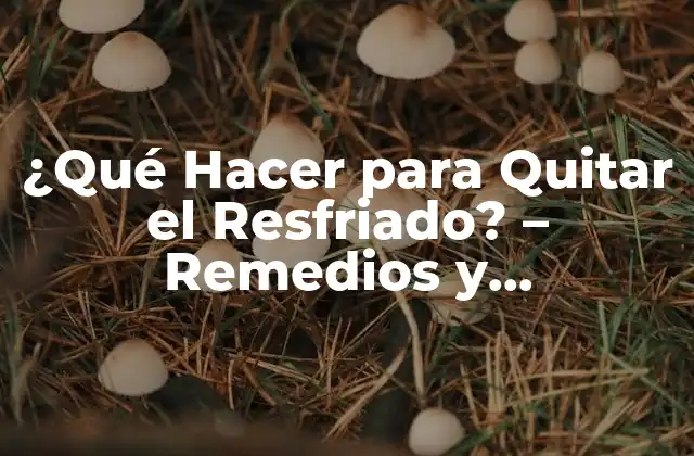 ¿qué Hacer para Quitar el Resfriado? – Remedios y Tratamientos Efectivos