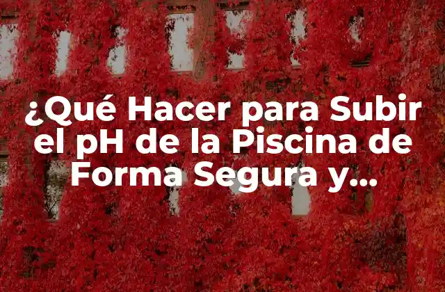 ¿qué Hacer para Subir el Ph de la Piscina de Forma Segura y Eficiente?