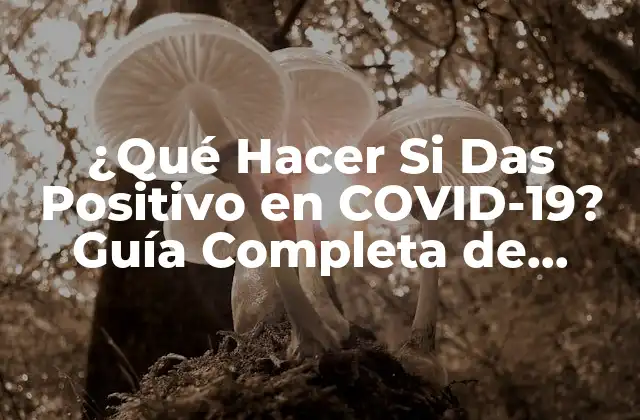 ¿qué Hacer Si Das Positivo en Covid-19? Guía Completa de Acción