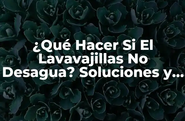 ¿qué Hacer Si el Lavavajillas No Desagua? Soluciones y Consejos Prácticos
