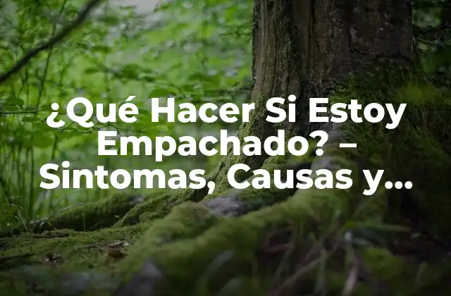 ¿qué Hacer Si Estoy Empachado? – Sintomas, Causas y Remedios Naturales