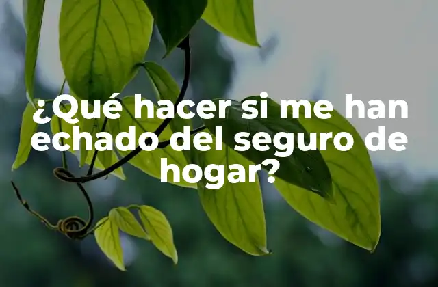 ¿qué Hacer Si Me Han Echado Del Seguro de Hogar?