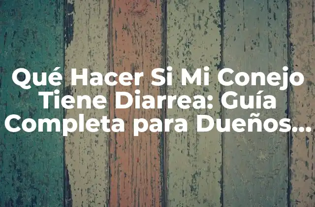 Qué Hacer Si Mi Conejo Tiene Diarrea: Guía Completa para Dueños de Conejos