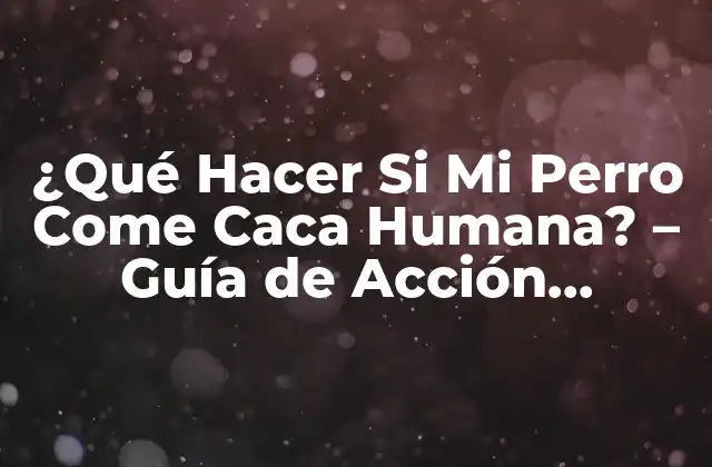¿qué Hacer Si Mi Perro Come Caca Humana? – Guía de Acción Inmediata