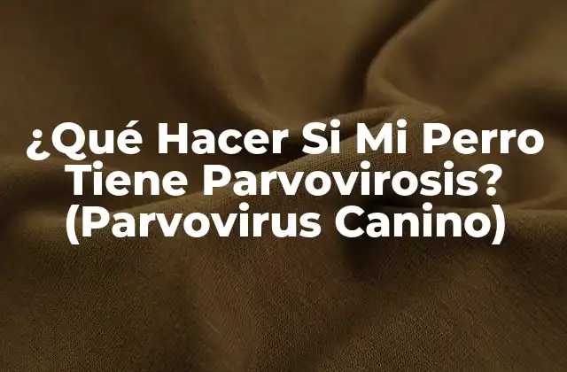 ¿qué Hacer Si Mi Perro Tiene Parvovirosis? (parvovirus Canino)