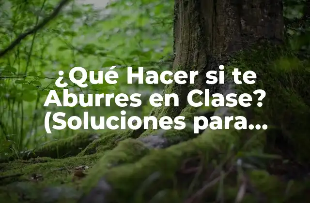 ¿qué Hacer Si Te Aburres en Clase? (soluciones para Estudiantes)