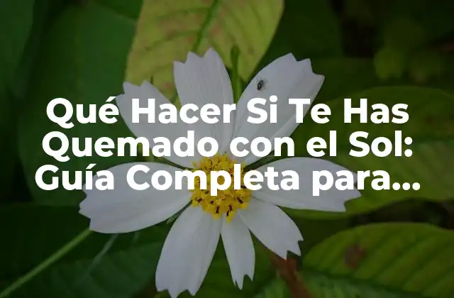 Qué Hacer Si Te Has Quemado con el Sol: Guía Completa para Aliviar el Dolor y Prevenir Daños