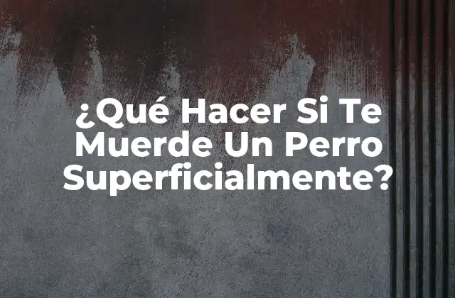 ¿qué Hacer Si Te Muerde un Perro Superficialmente?