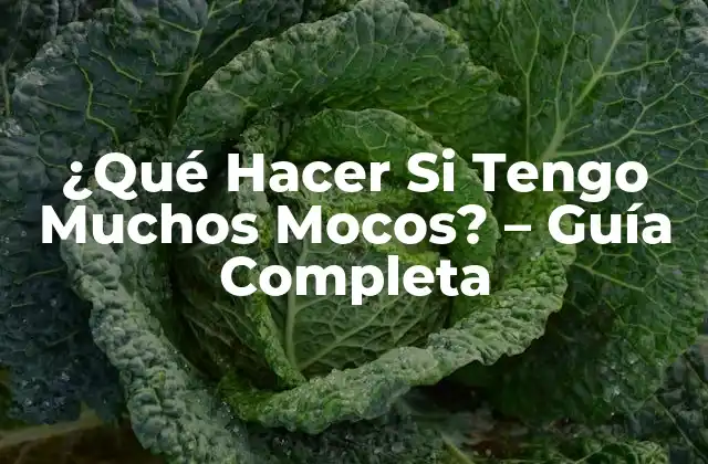 ¿qué Hacer Si Tengo Muchos Mocos? – Guía Completa