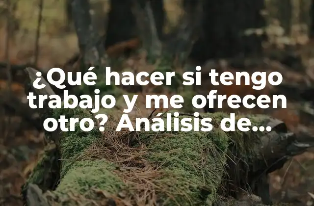 ¿qué Hacer Si Tengo Trabajo y Me Ofrecen Otro? Análisis de Oportunidades y Riesgos