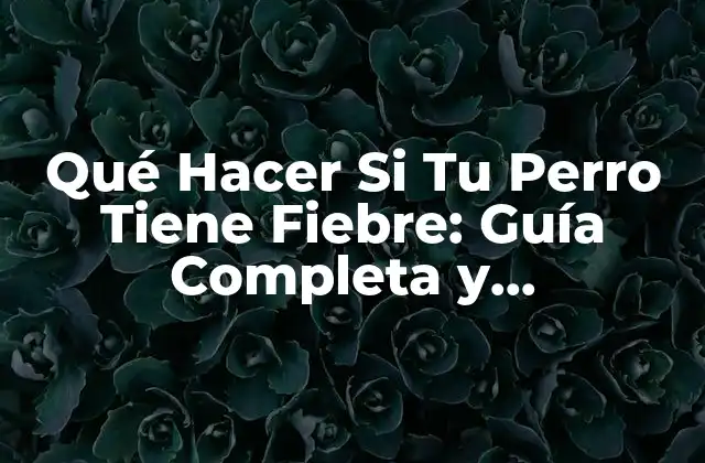 Qué Hacer Si Tu Perro Tiene Fiebre: Guía Completa y Actualizada