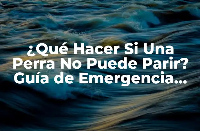 ¿qué Hacer Si una Perra No Puede Parir? Guía de Emergencia para Propietarios de Perros
