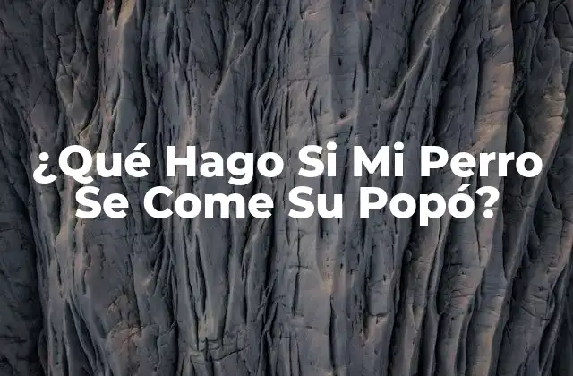 Causas de la Coprofagia Canina