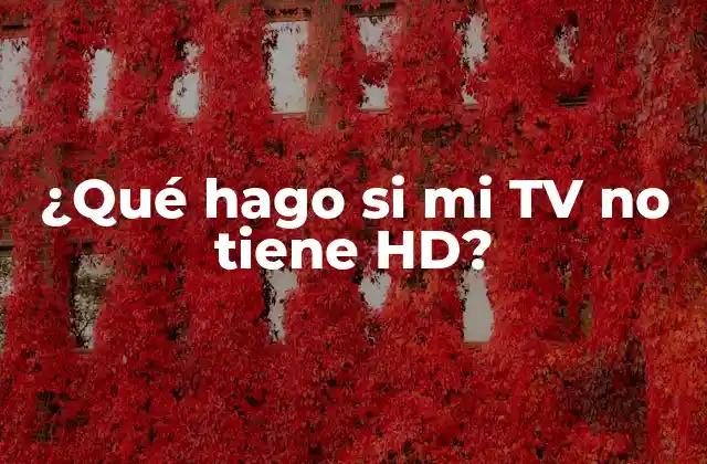 ¿qué Hago Si Mi Tv No Tiene Hd?