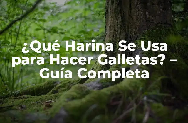 ¿qué Harina Se Usa para Hacer Galletas? – Guía Completa