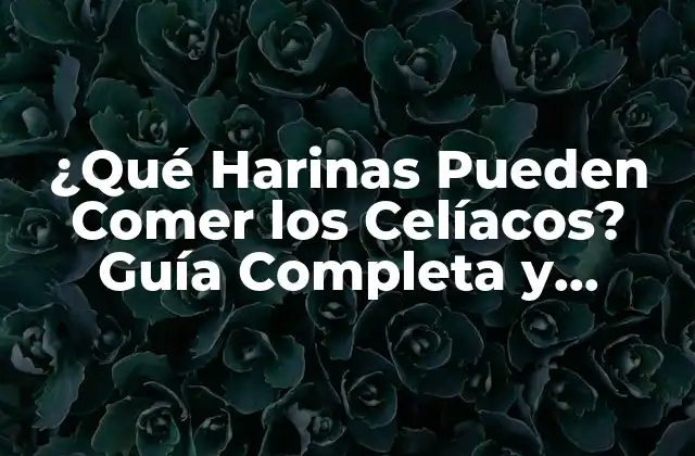¿qué Harinas Pueden Comer los Celíacos? Guía Completa y Actualizada