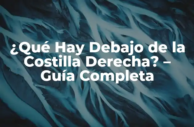 ¿qué Hay Debajo de la Costilla Derecha? - Guía Completa 2 Anatomía de la Zona Debajo de la Costilla Derecha