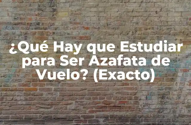 ¿qué Hay que Estudiar para Ser Azafata de Vuelo? (exacto)