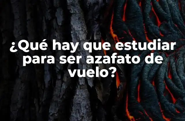 Requisitos de educación y formación