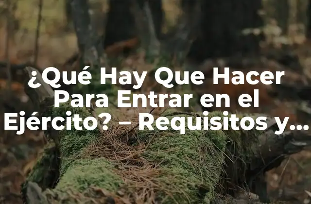 ¿qué Hay que Hacer para Entrar en el Ejército? – Requisitos y Proceso de Selección