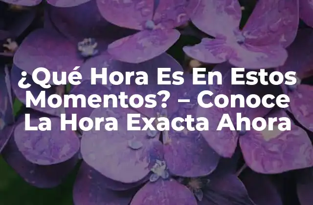 ¿qué Hora es en Estos Momentos? - Conoce la Hora Exacta Ahora 2 ¿Por Qué Es Importante Saber La Hora Exacta?