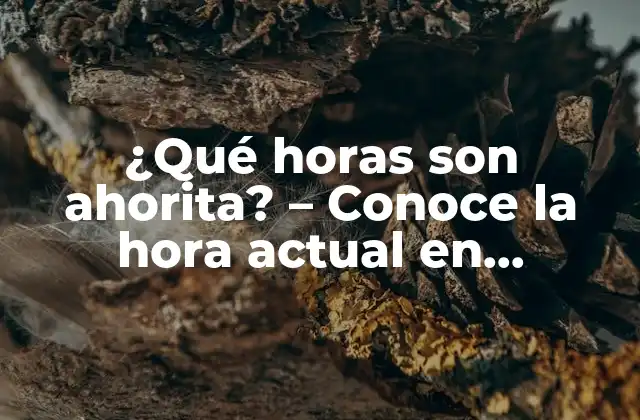 ¿qué Horas Son Ahorita? – Conoce la Hora Actual en Cualquier Lugar Del Mundo