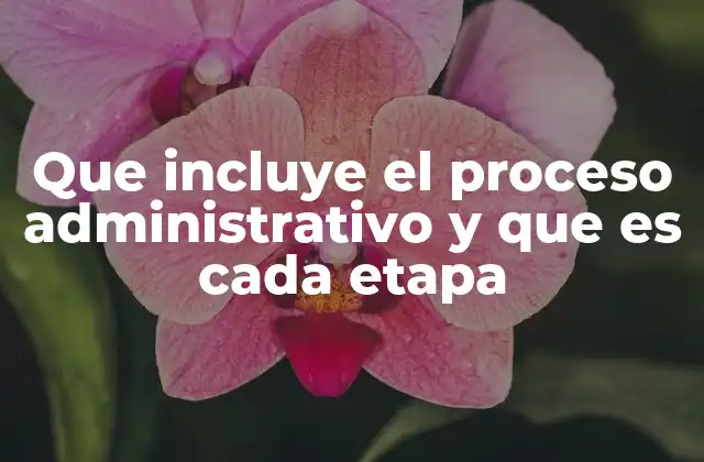 Que Incluye el Proceso Administrativo y que es Cada Etapa 2 El rol del proceso administrativo en la gestión empresarial