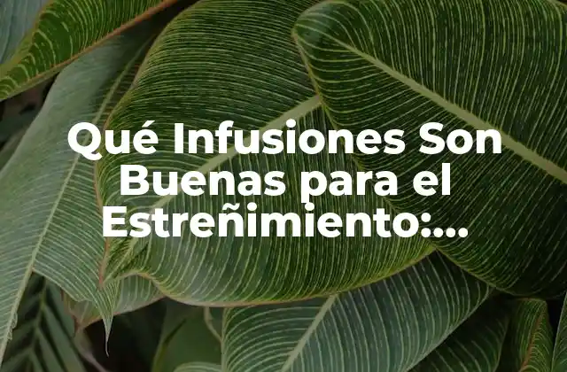 Qué Infusiones Son Buenas para el Estreñimiento: Descubre las Mejores Opciones