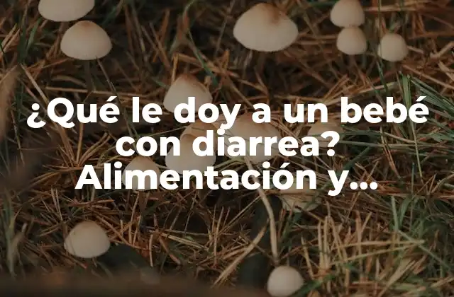¿qué Le Doy a un Bebé con Diarrea? Alimentación y Cuidados para Bebés con Diarrea