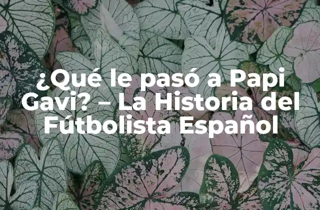 ¿qué Le Pasó a Papi Gavi? – la Historia Del Fútbolista Español