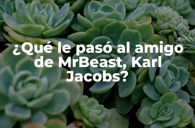 ¿qué Le Pasó Al Amigo de Mrbeast, Karl Jacobs?