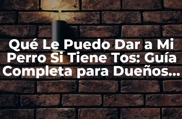 Qué Le Puedo Dar a Mi Perro Si Tiene Tos: Guía Completa para Dueños de Perros