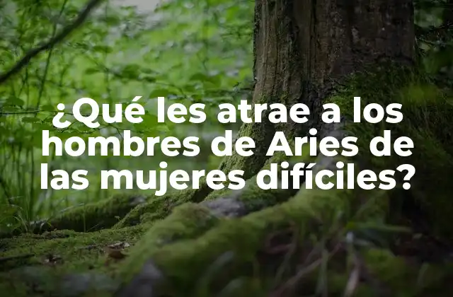 ¿qué Les Atrae a los Hombres de Aries de las Mujeres Difíciles?