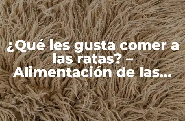 ¿qué Les Gusta Comer a las Ratas? – Alimentación de las Ratas Domésticas