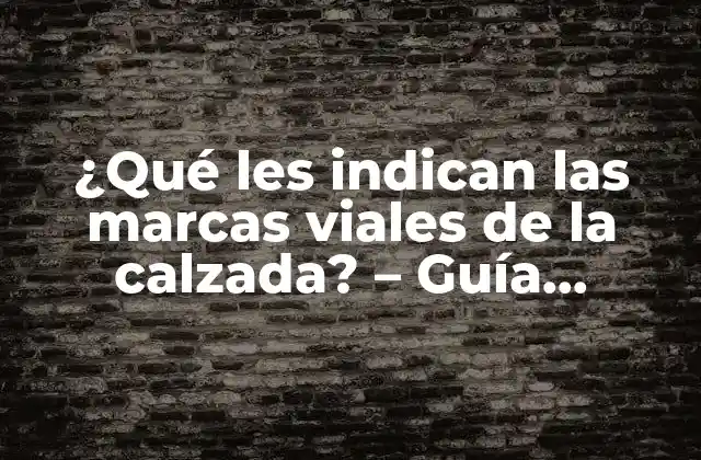 ¿qué Les Indican las Marcas Viales de la Calzada? – Guía Completa