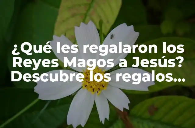 ¿qué Les Regalaron los Reyes Magos a Jesús? Descubre los Regalos de la Epifanía