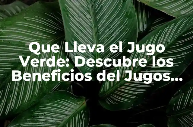 Que Lleva el Jugo Verde: Descubre los Beneficios Del Jugos Verdes para Tu Salud