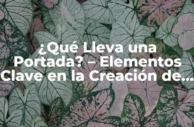 ¿qué Lleva una Portada? – Elementos Clave en la Creación de una Portada Atractiva
